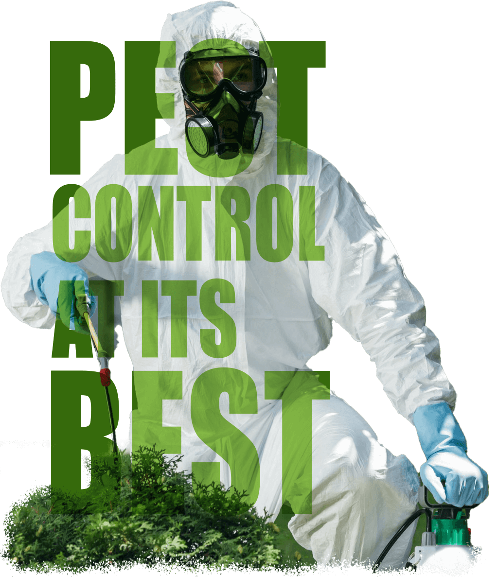 Pest Control As Its Pest